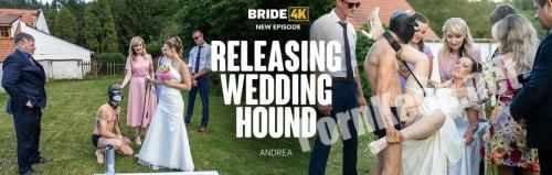 [Bride4K, Vip4K] Andrea (Releasing Wedding Hound) (FullHD 1080p, 2.91 GB)