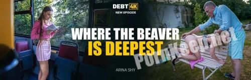 [Debt4k, Vip4K] Arina Shy (Where the Beaver is Deepest) (SD 540p, 908 MB)