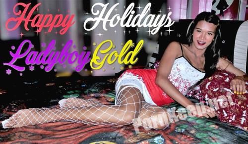 [LadyBoyGold] New 4 - Unwrap Your Present, Breed Her & Make Her Spurt 4x Sperm (Dec, 2024) (FullHD 1080p, 5.25 GB)